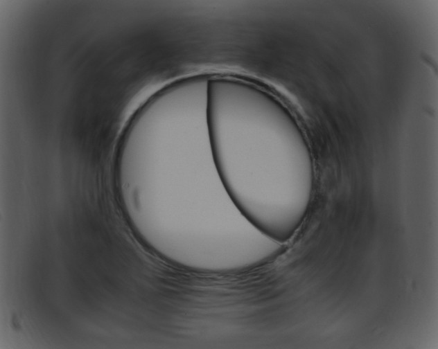 X0000096651271200802050926