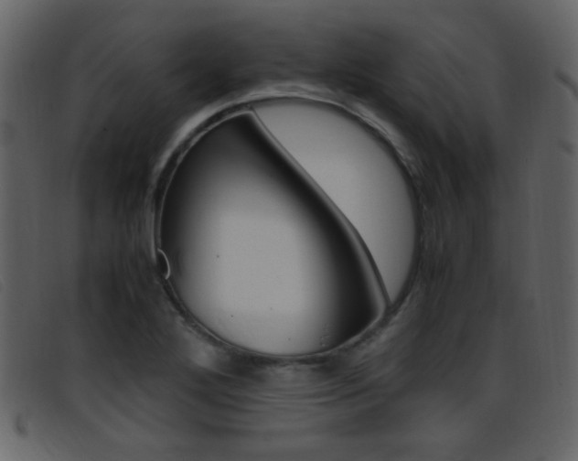 X0000096651272200802050926
