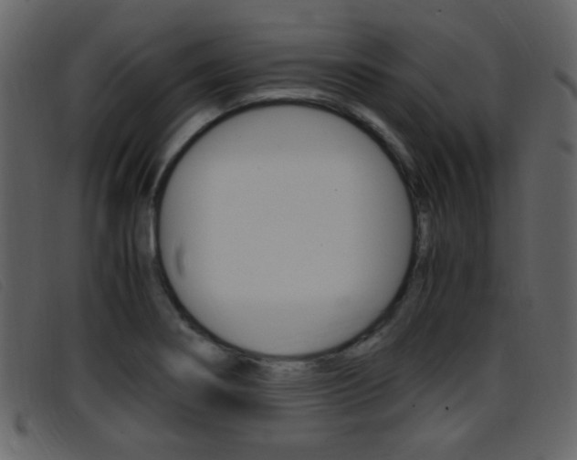 X0000096651274200802050926