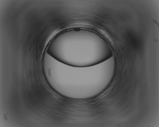 X0000096651275200802050926
