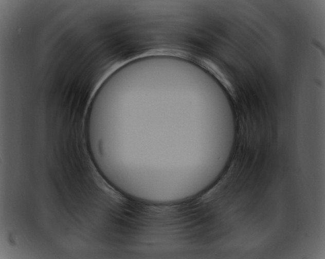 X0000096651276200802050926