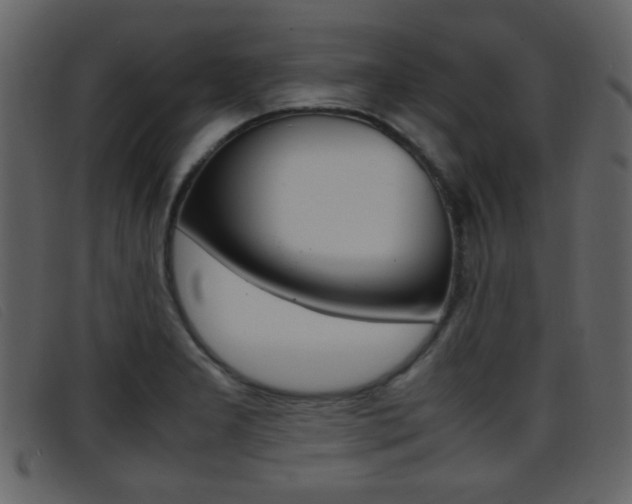 X0000096651277200802050926