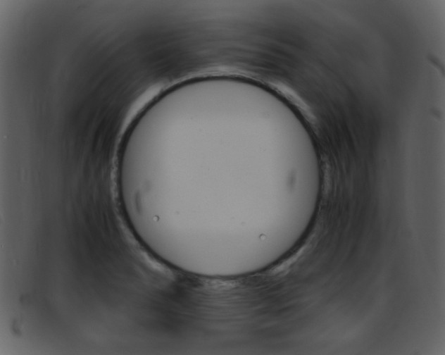 X0000096651278200802050926