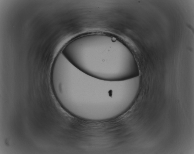 X0000096651279200802050926