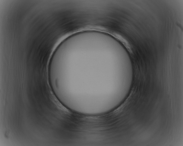 X0000096651280200802050926