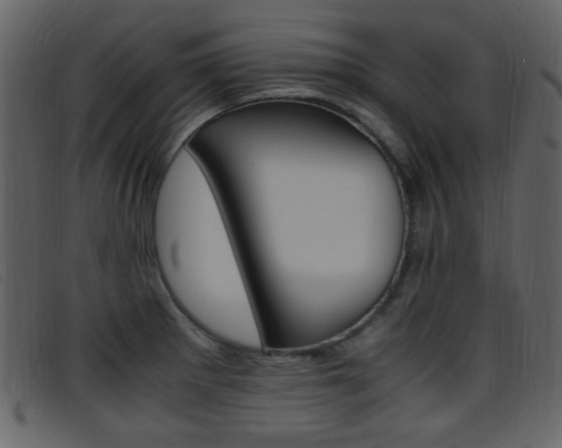 X0000096651281200802050926