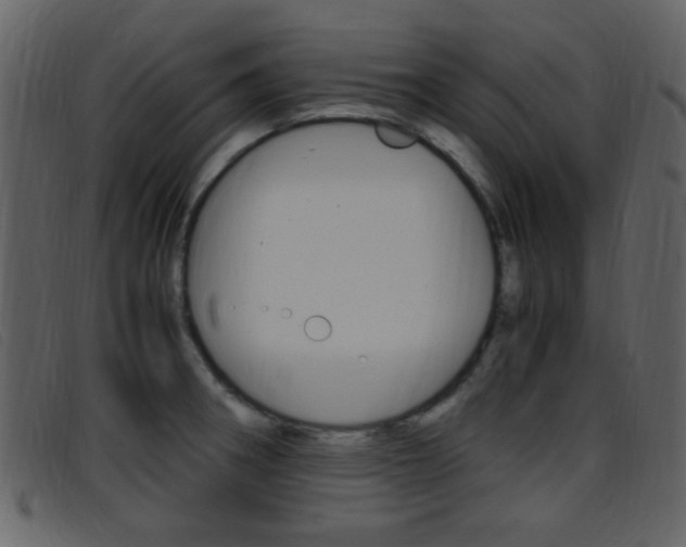 X0000096651282200802050926