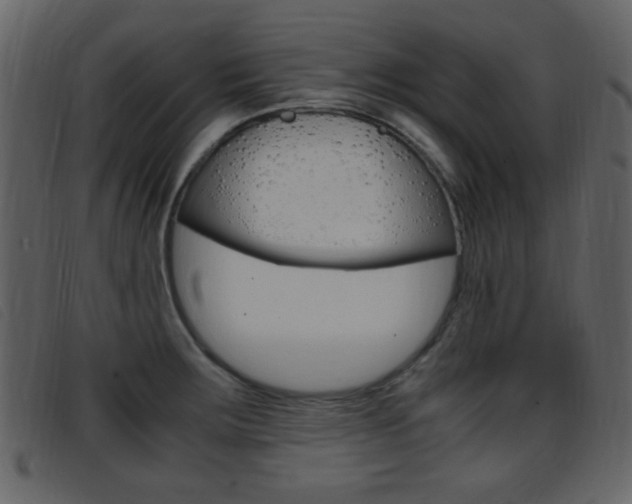 X0000096651283200802050926