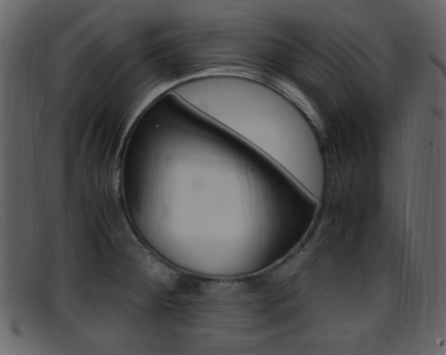 X0000096651284200802050926