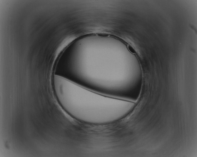 X0000096651285200802050926