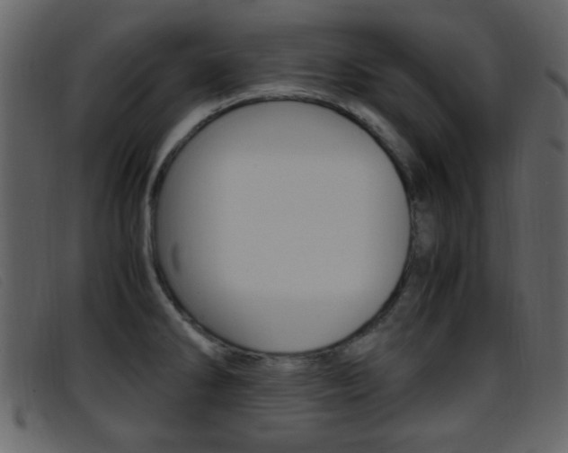 X0000096651286200802050926
