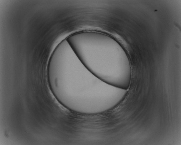 X0000096651287200802050926