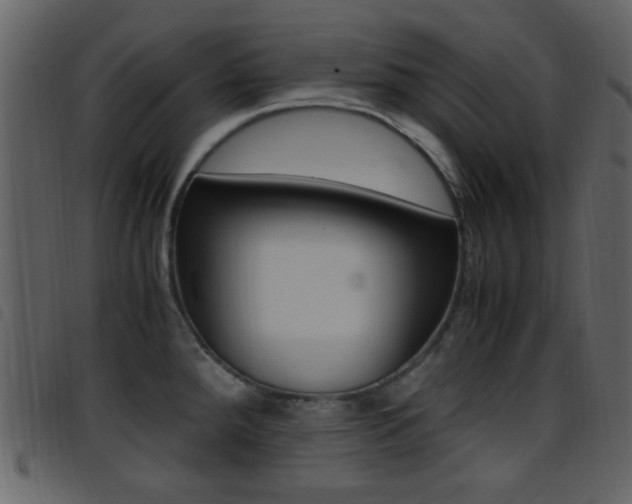 X0000096651288200802050926