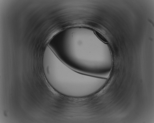 X0000096651289200802050926