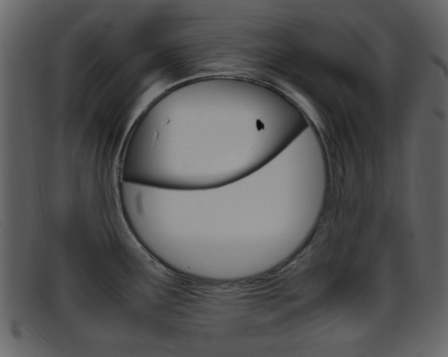 X0000096651291200802050925