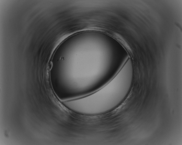 X0000096651292200802050925