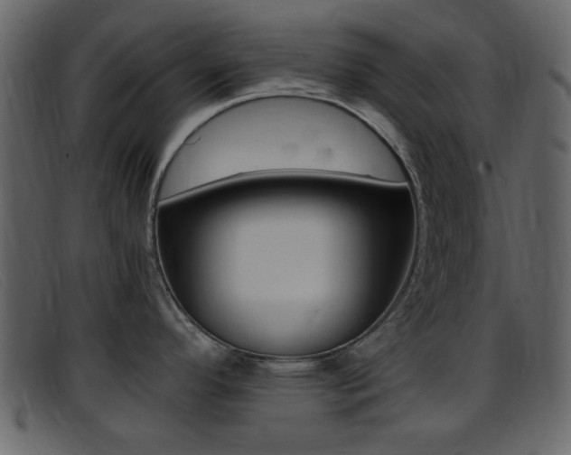 X0000096651296200802050925