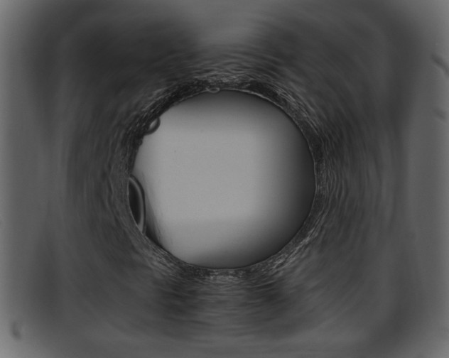 X0000096651297200802050925