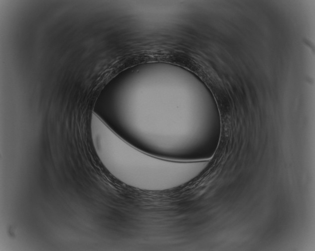 X0000096651298200802050925