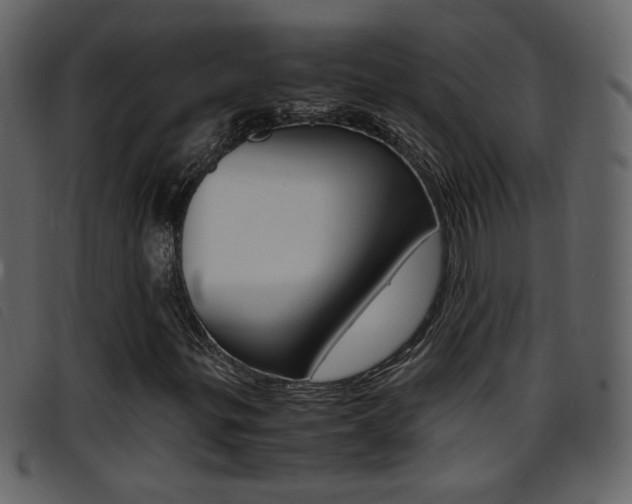 X0000096651299200802050925