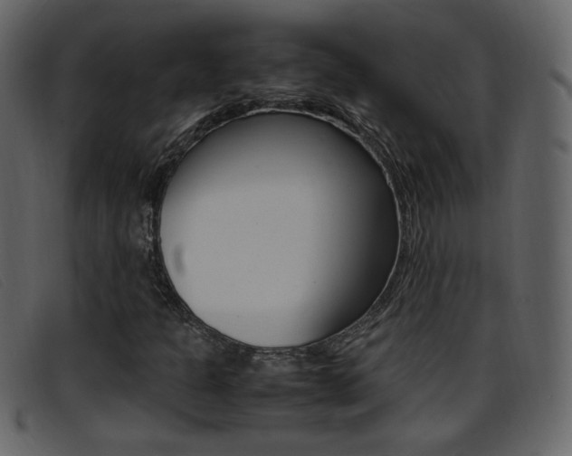 X0000096651301200802050925