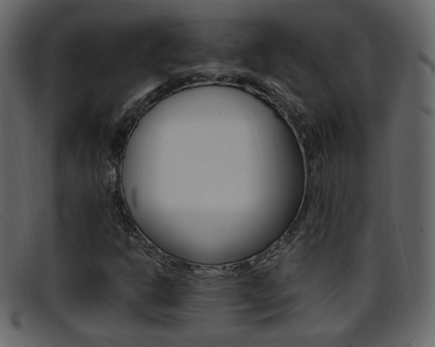 X0000096651302200802050925