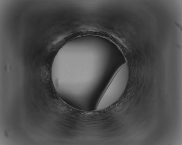 X0000096651303200802050925