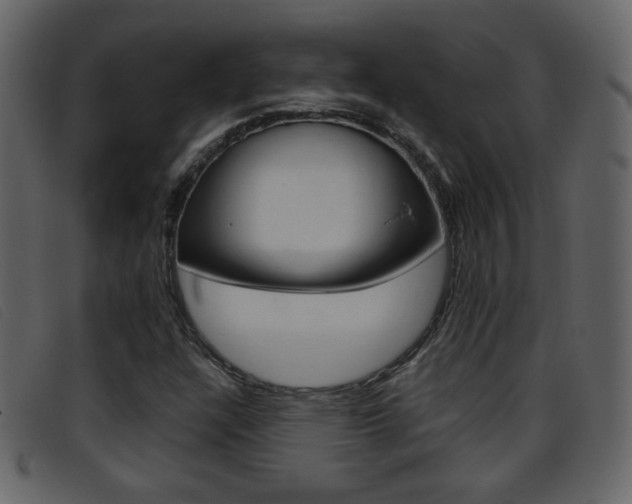 X0000096651304200802050925