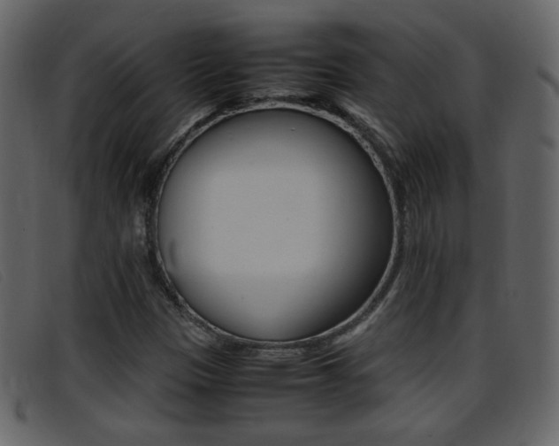 X0000096651305200802050925