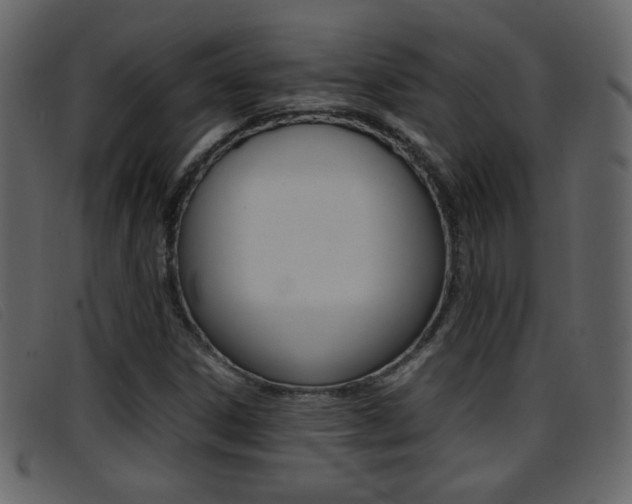 X0000096651306200802050925