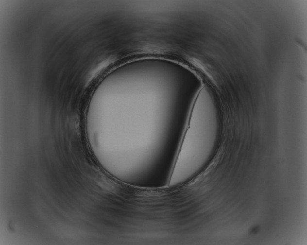 X0000096651307200802050925