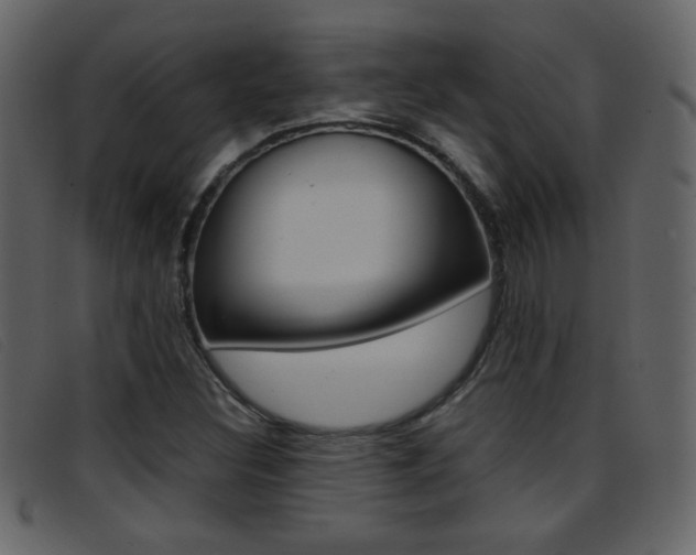 X0000096651308200802050925