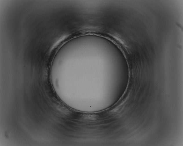 X0000096651309200802050925