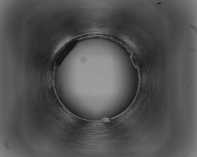 X0000096651310200802050925