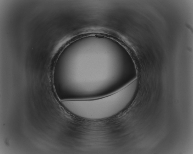 X0000096651312200802050925
