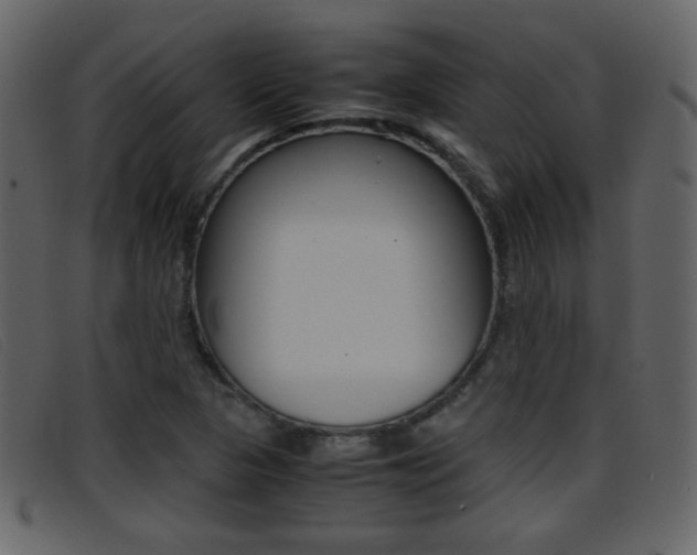 X0000096651313200802050925