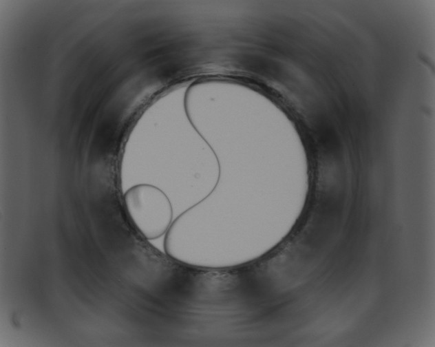 X0000096651314200802050925