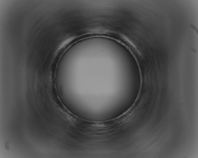 X0000096651315200802050925