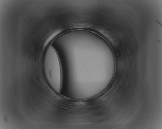 X0000096651317200802050925
