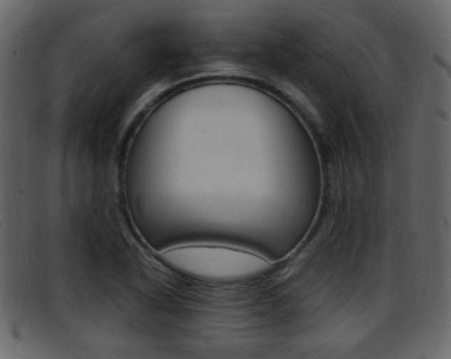 X0000096651318200802050925