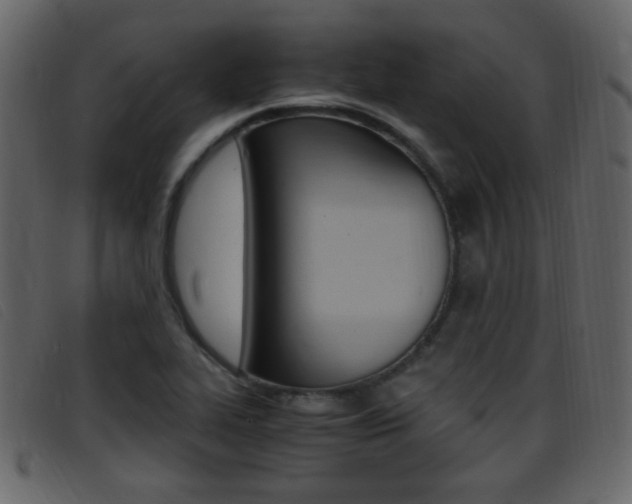 X0000096651319200802050925