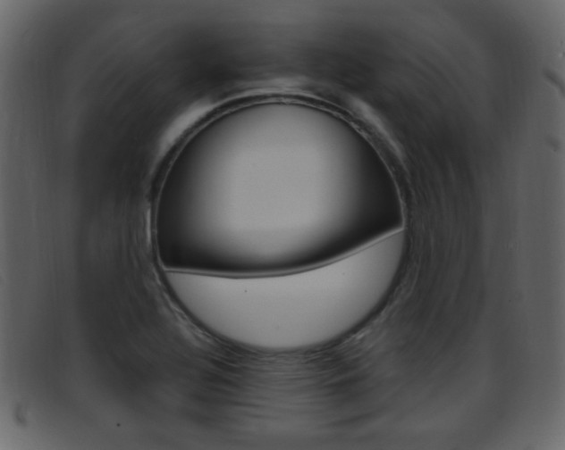 X0000096651320200802050925