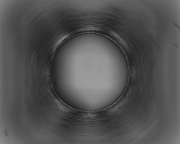 X0000096651321200802050925