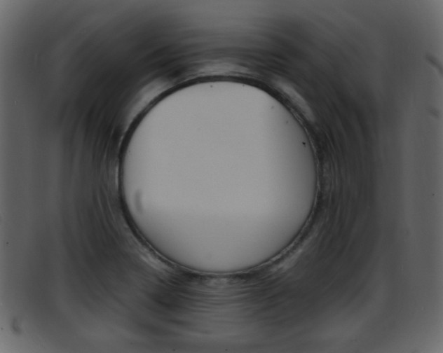 X0000096651322200802050925