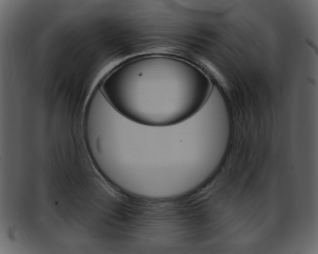 X0000096651324200802050925