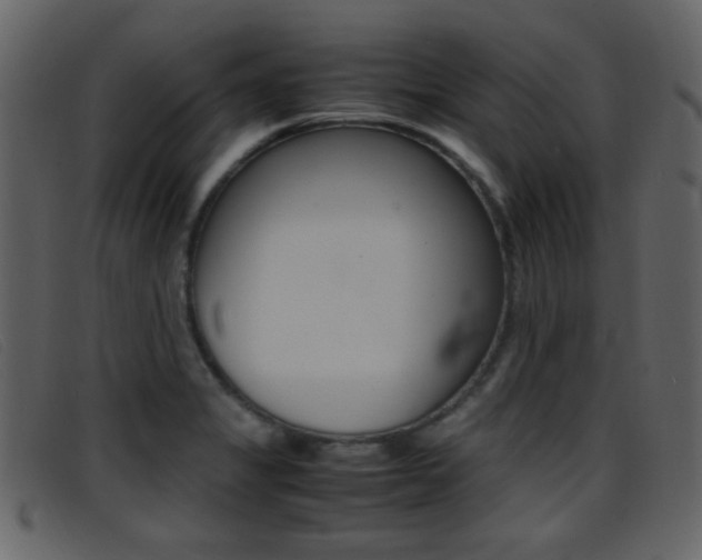 X0000096651325200802050925