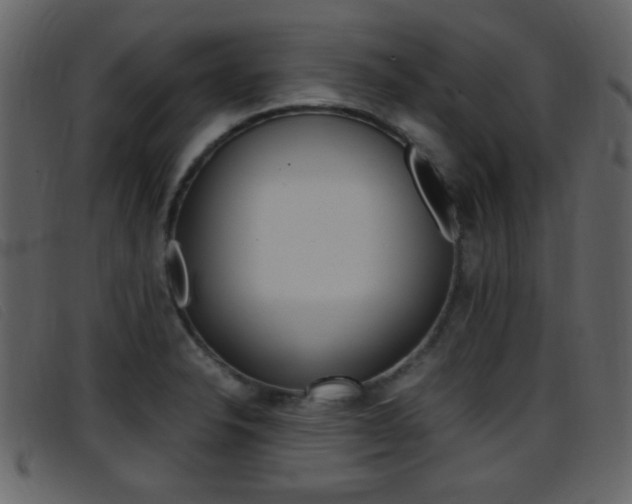 X0000096651326200802050925