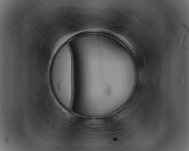X0000096651327200802050925