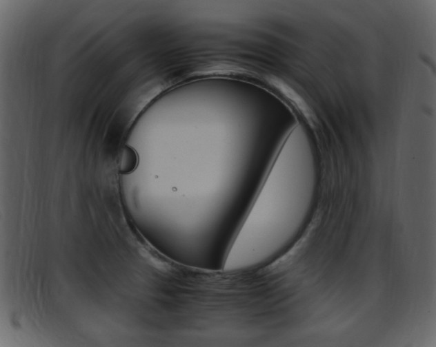 X0000096651329200802050925