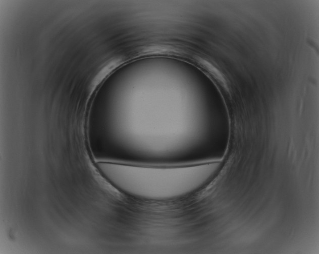 X0000096651330200802050925